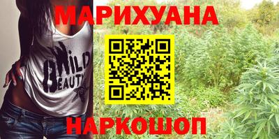 крисы Дубна