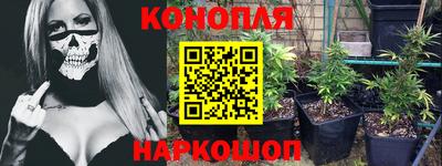 крисы Дубна